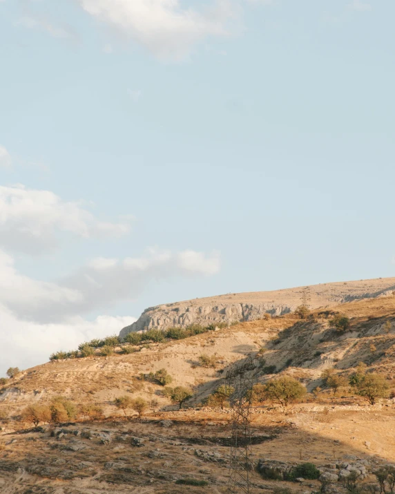 two giraffes graze on the ground below a large hill