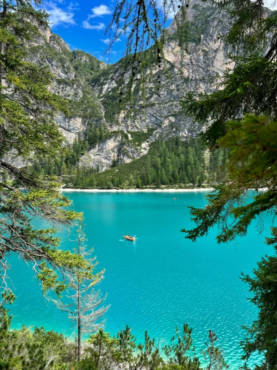 trees surround a calm lake with a boat out at the edge