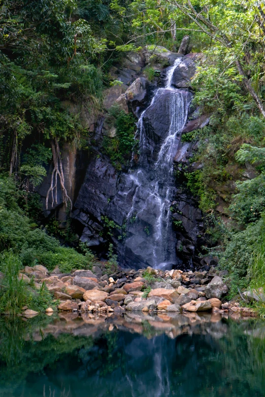 a waterfall near the water surrounded by trees