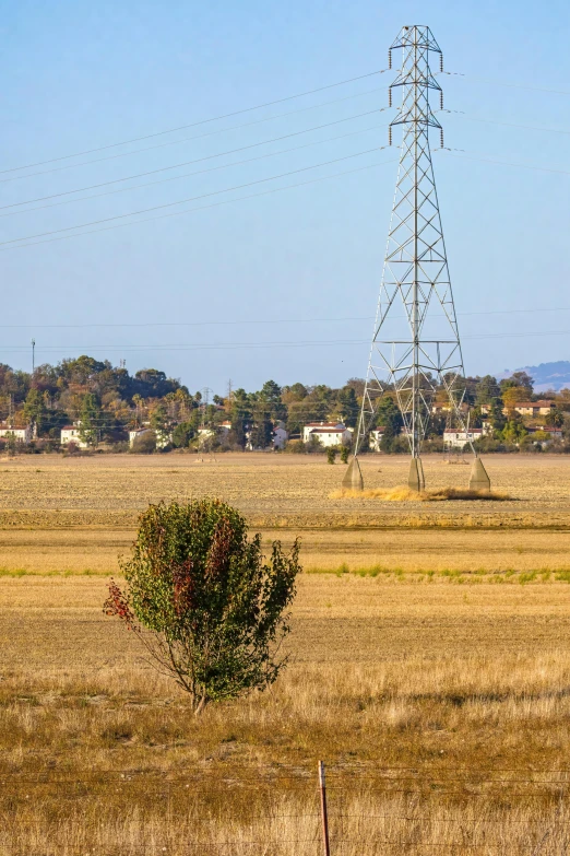 a lone tree that is in a large field