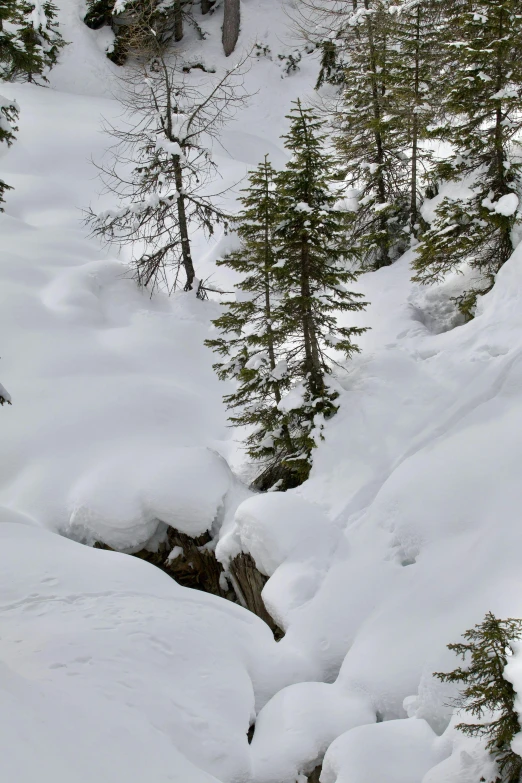 snow covered mountains with trees and a small stream