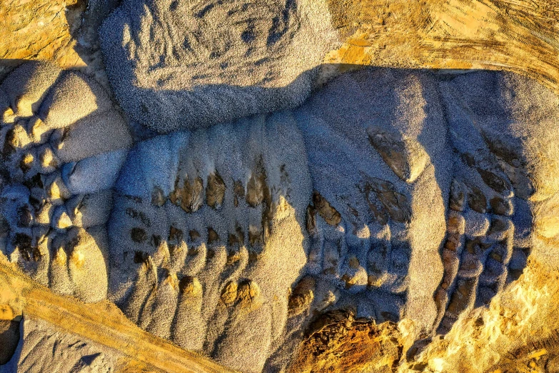 a picture of an animal carved into a rock face