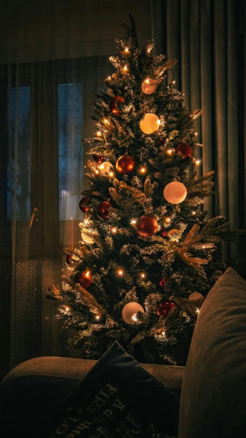 lit up christmas tree sitting next to the window