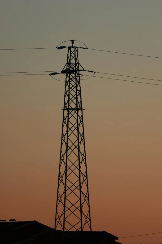 the bird is perched on the top of the pole