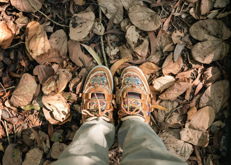 shoes on feet on some rocks and leaves