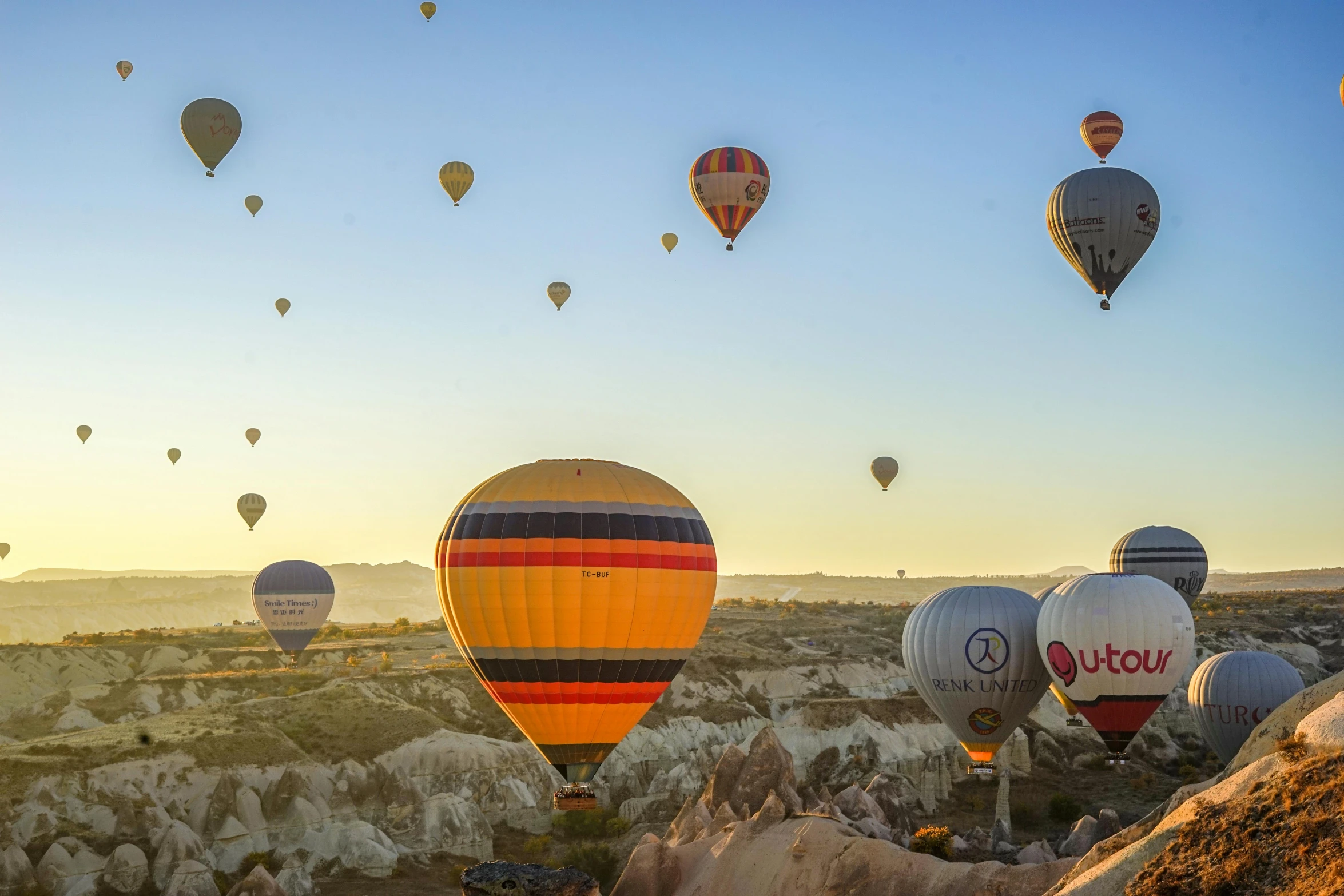 a number of  air balloons flying in the air