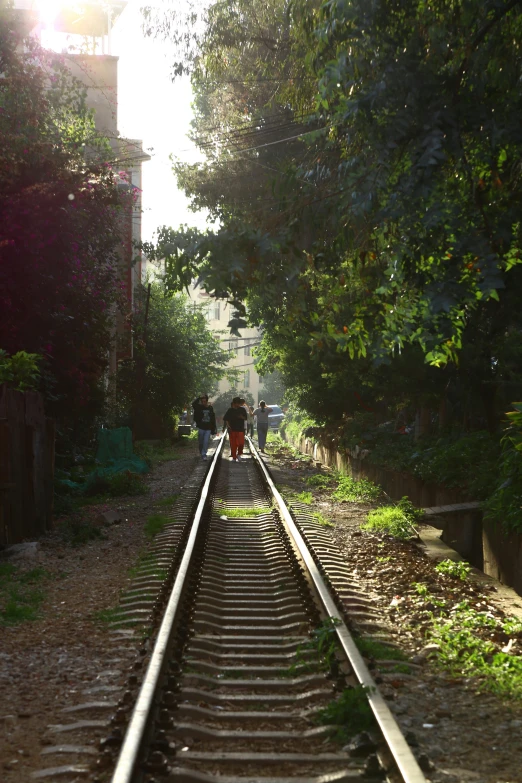 some people are walking down some tracks near the trees