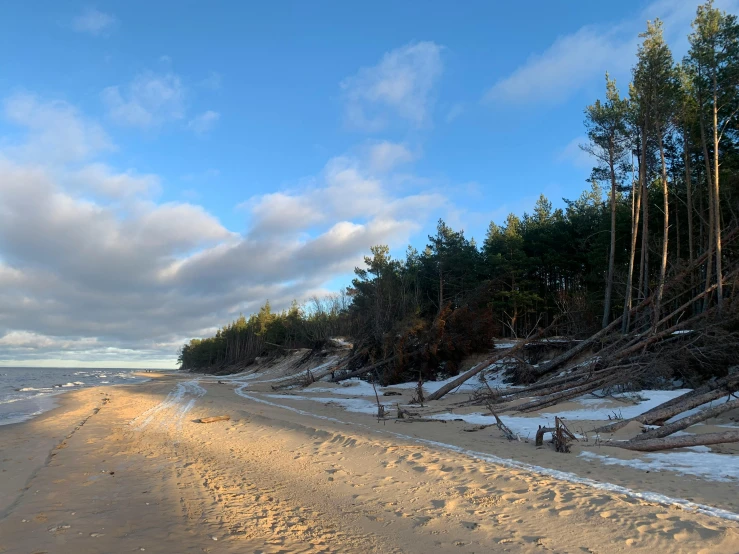 an empty dirt path leading into the ocean