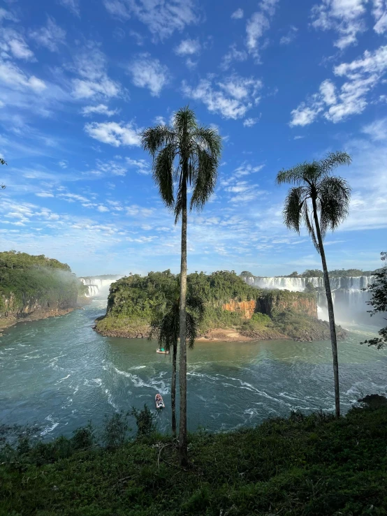 several palm trees in front of water falls