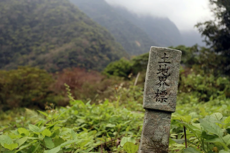 a stone with writing in the middle of a green valley