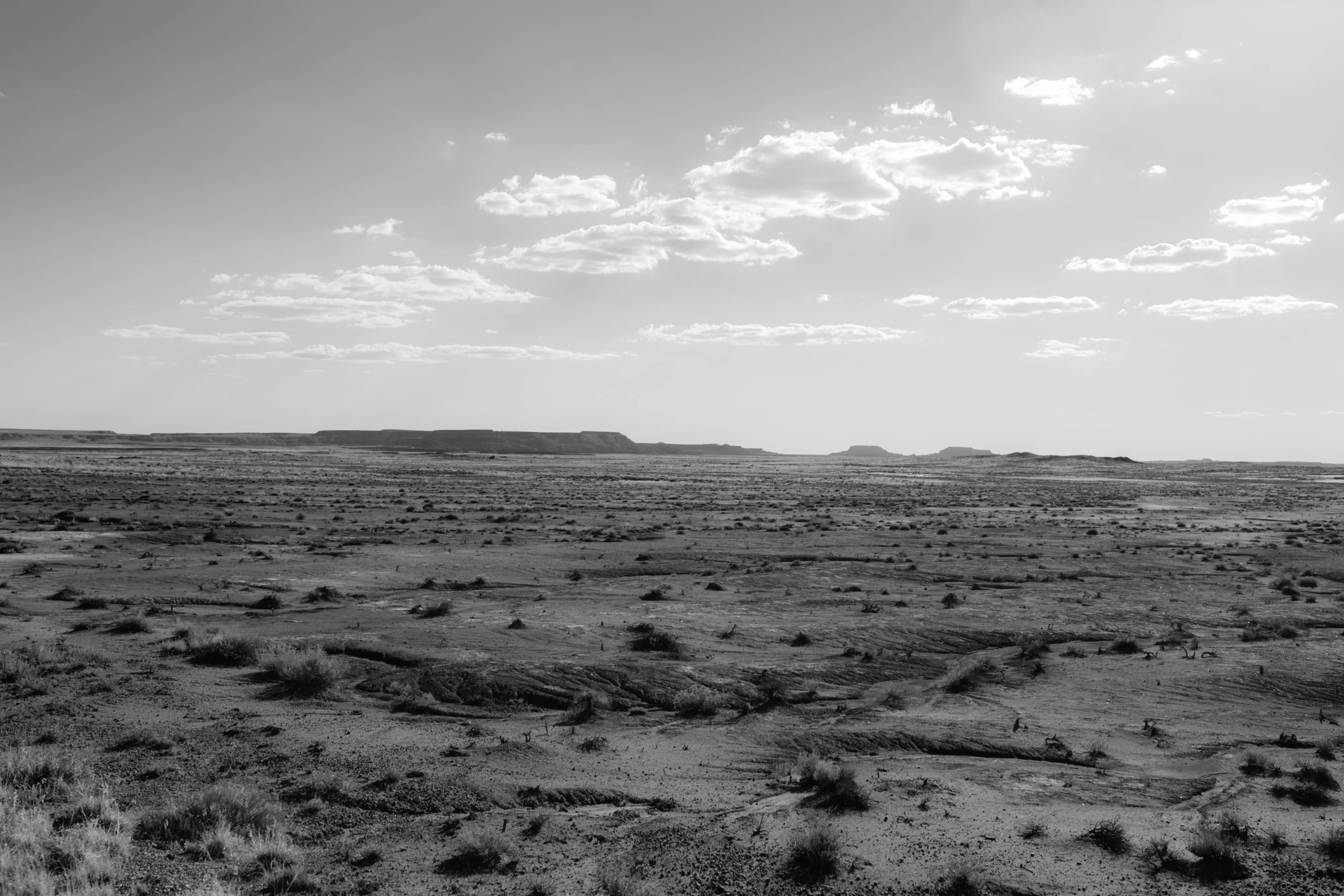 a grassy field in the middle of nowhere