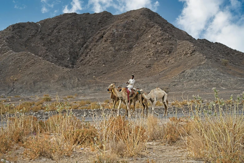two people are riding camels on the desert near mountains