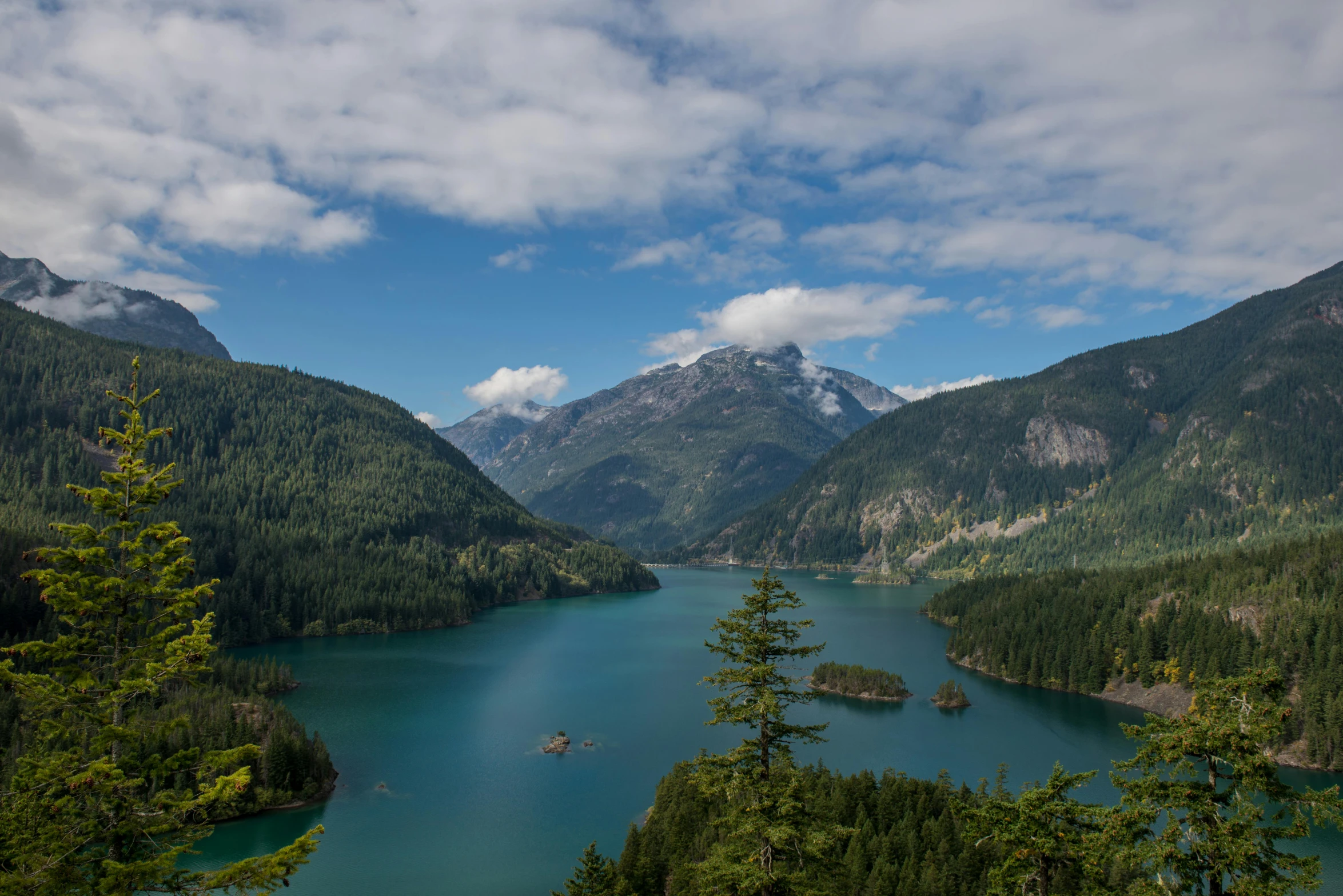 a valley is near water with trees around it