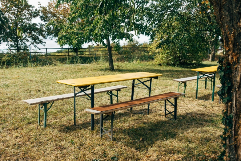 a picnic table and benches in a field near a tree