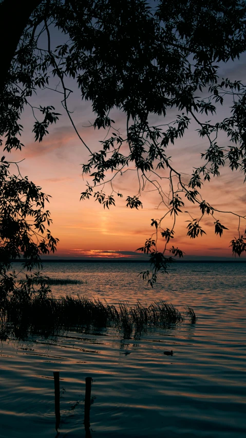 the sun is setting over the water by the shore