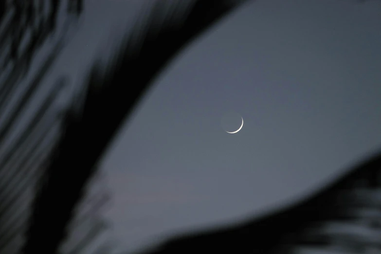 a half moon and a crescent on a night sky