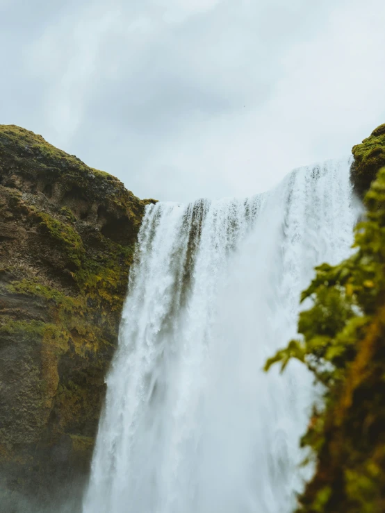 an elephant standing in front of a waterfall