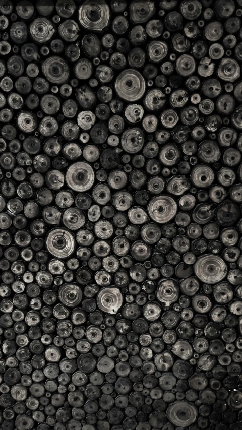 a large collection of black circles on the wall