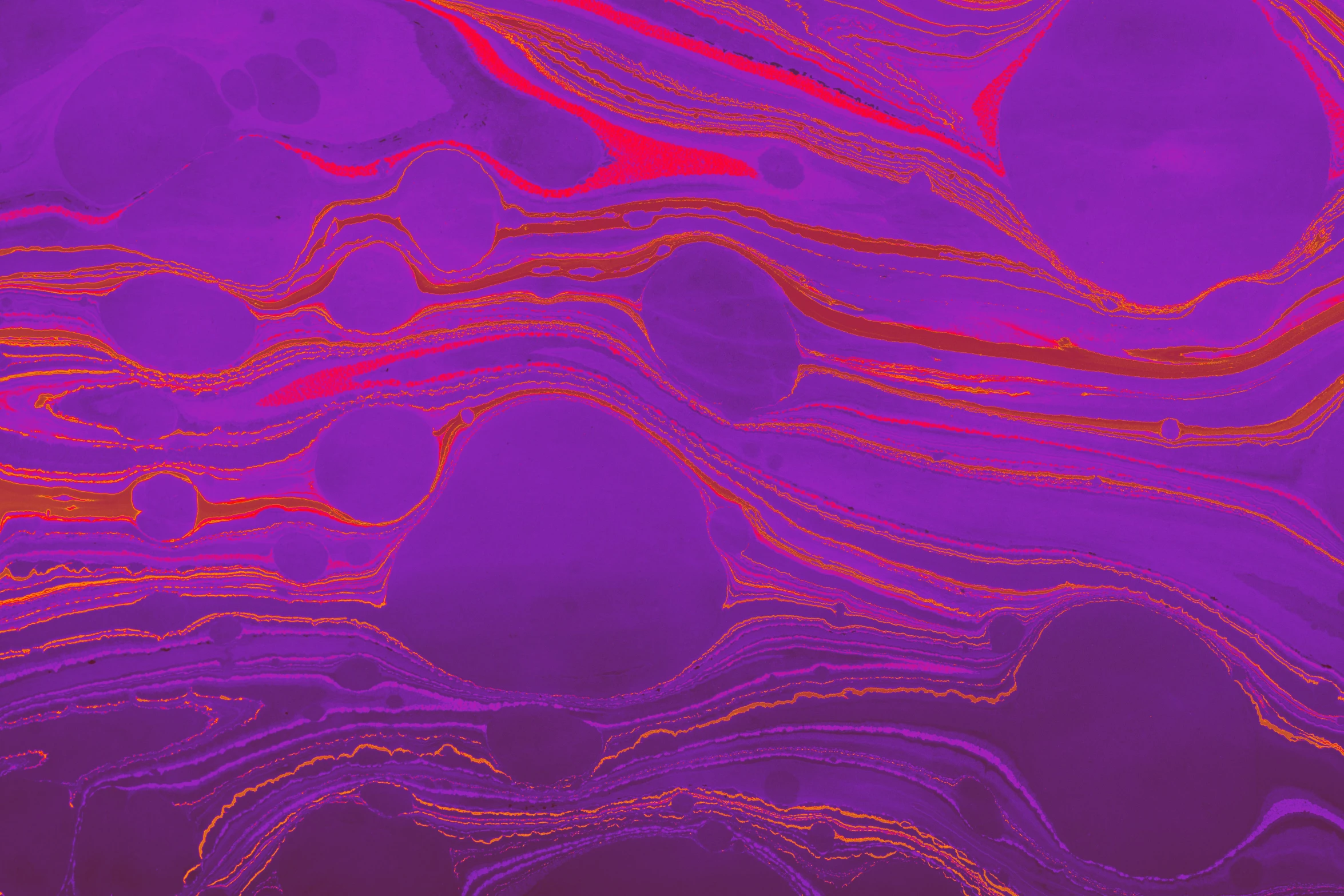 a painting in purple with a red color