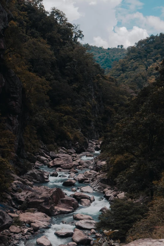 water running down a narrow stream in the forest