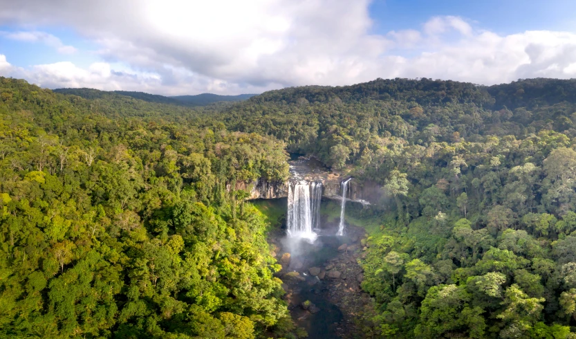 an aerial view of waterfall in the middle of a forest