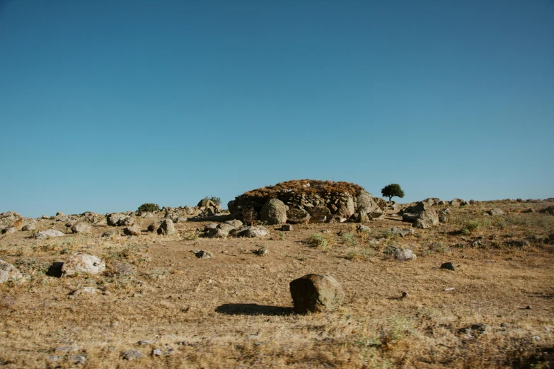 large rocks sitting in a field, with a lone tree on the hill behind them