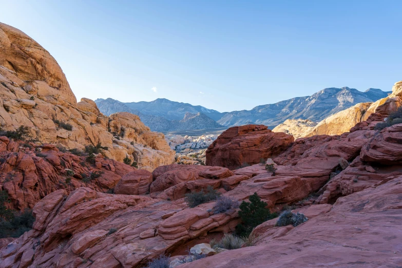 the landscape in front of the rocks is beautiful