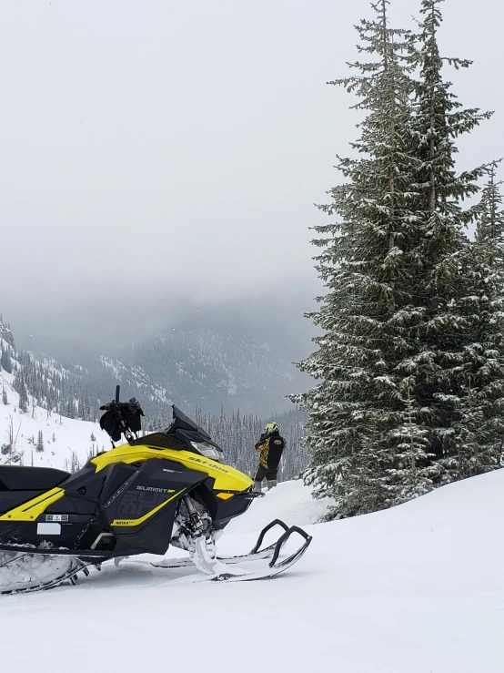 a snowmobile sitting on a snowy hill near a evergreen tree