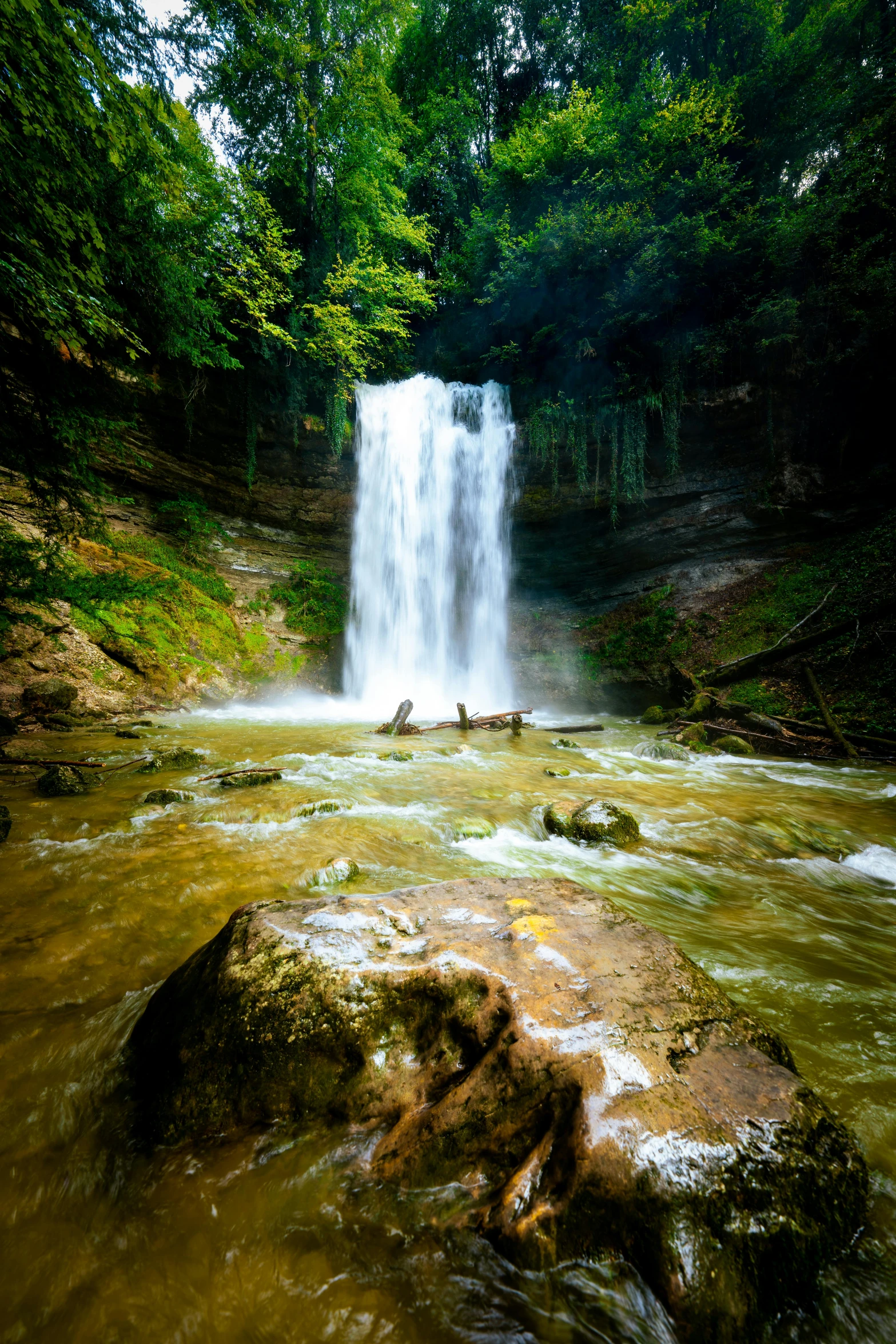 a river flowing over rocks with a lush green forest in the background