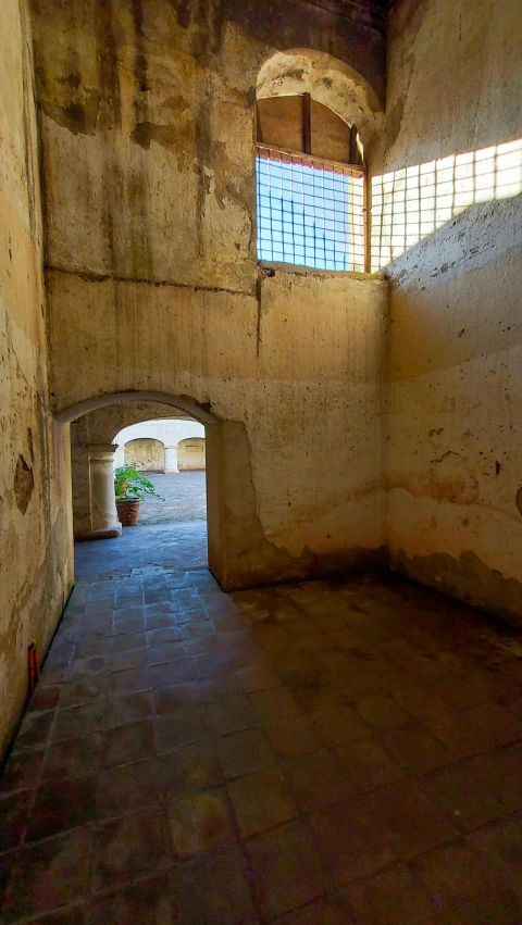 a dimly lit corridor with a plant in the corner