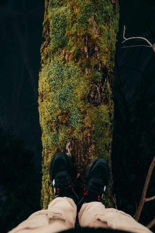 a pair of hiking boots that are propped up on a tree