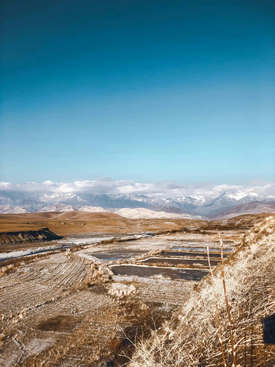 a field with snow capped mountains in the distance