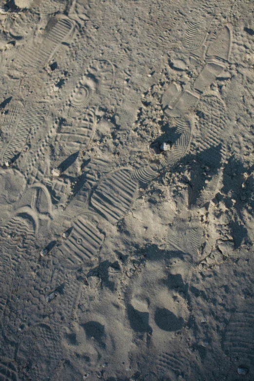 two footprints left in the sand next to a horse trail