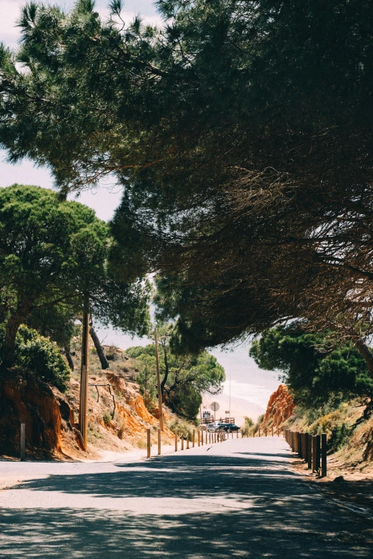 the back street is a steep road with trees on both sides