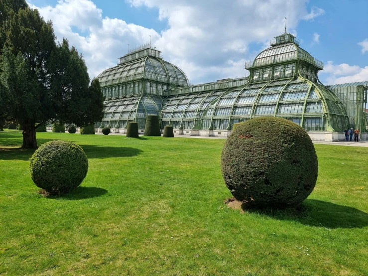 two large green topiary bushes in a park