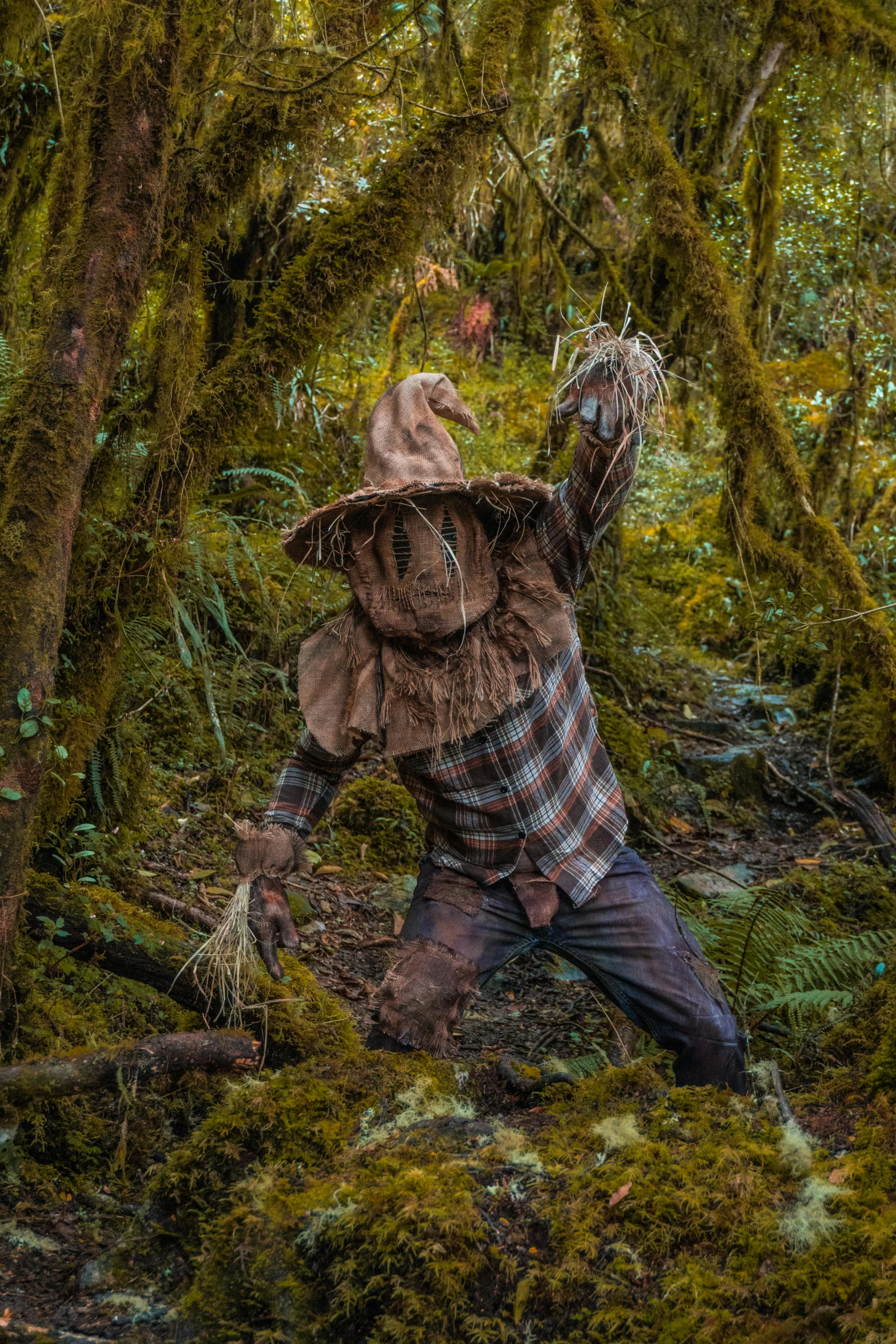 a person kneeling down in the woods reaching for soing