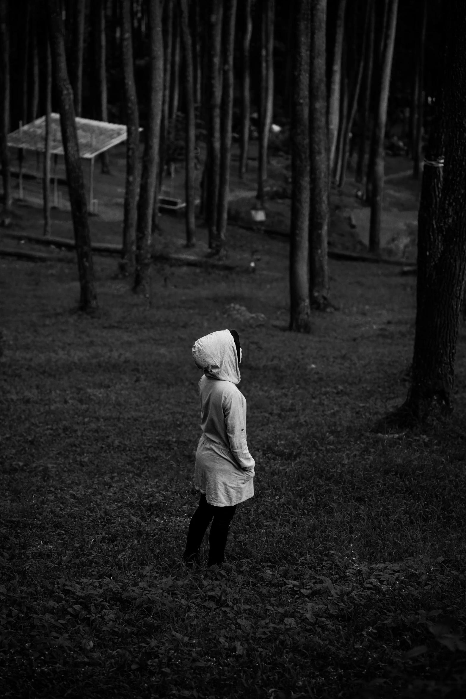 person in park looking at soing near trees