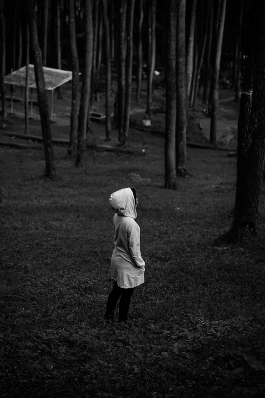 person in park looking at soing near trees