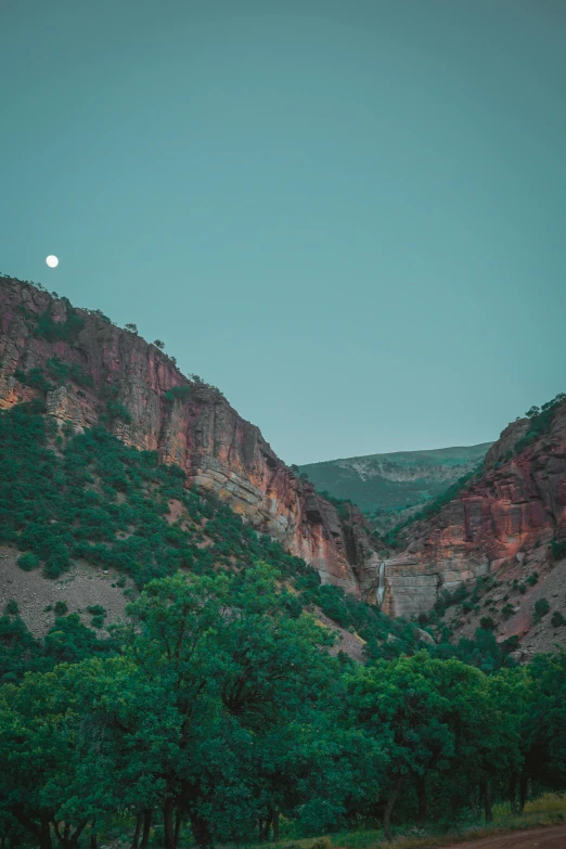 a mountain that has trees in it