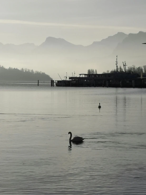 two swans on a lake during dusk with mountains in the background