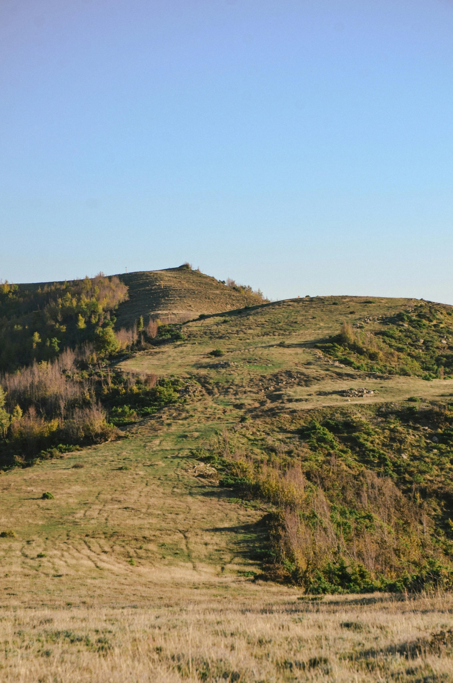 a horse standing on the top of a mountain