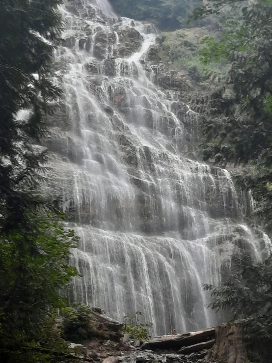 people walking near a waterfall near a wooded area