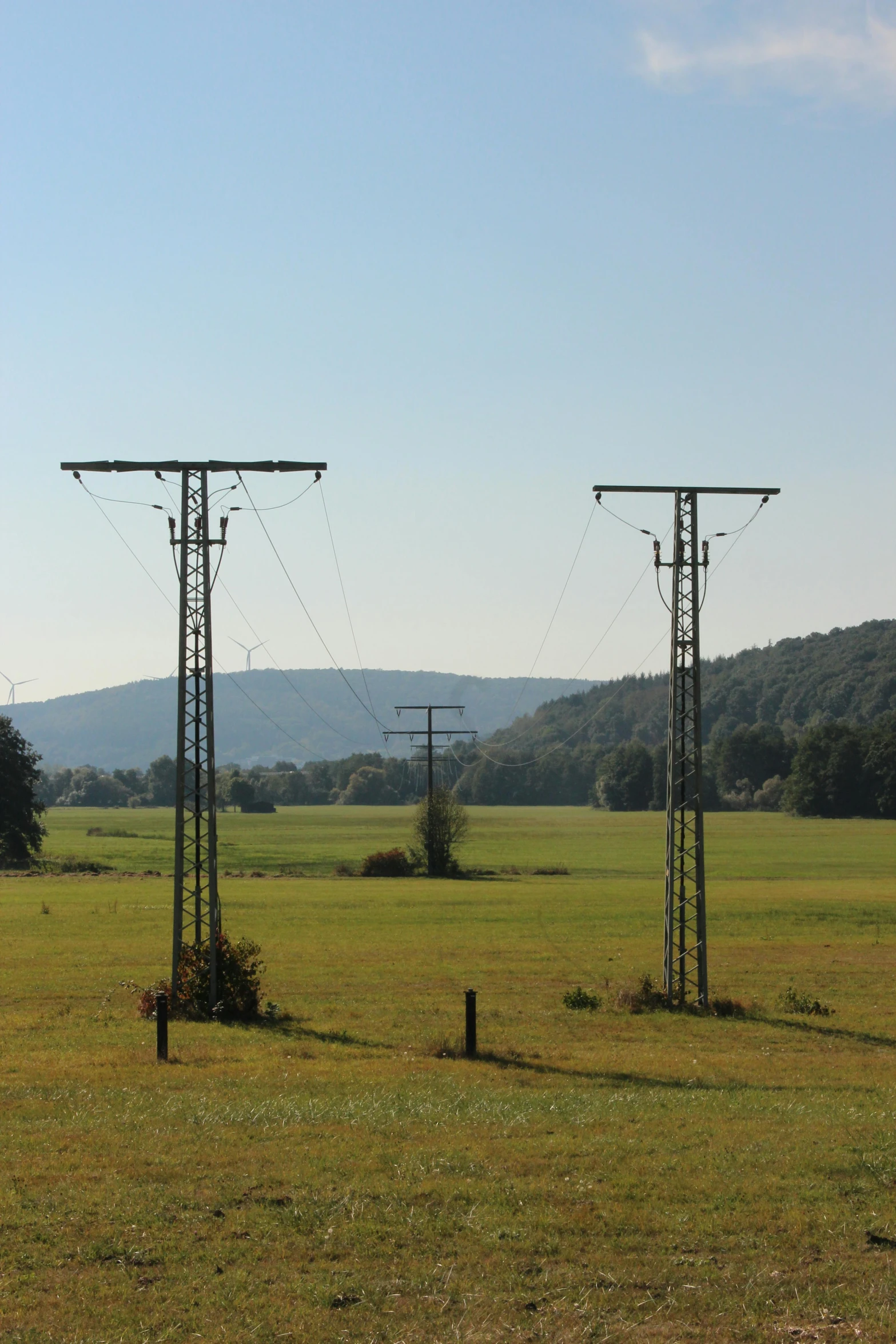 electric power lines at the edge of a large open field