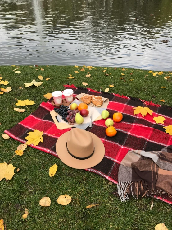 a picnic is set up near a pond with fruit and wine on a red checkered picnic blanket