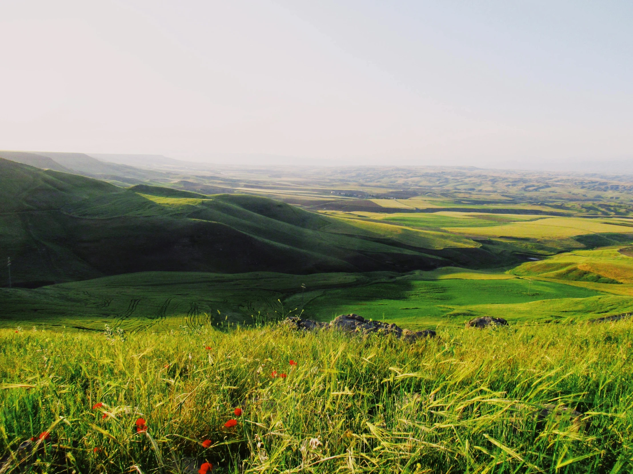 the view over the rolling hills in the desert