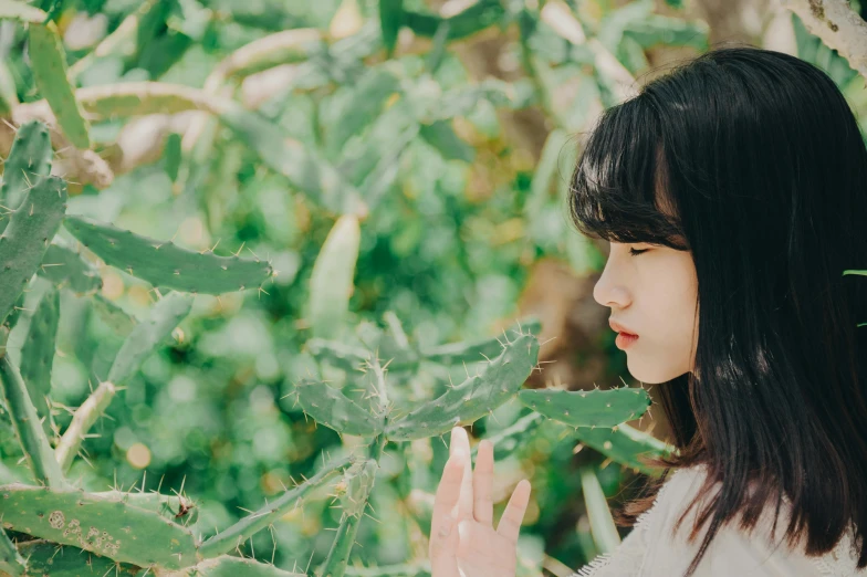 a person with some plants by some trees