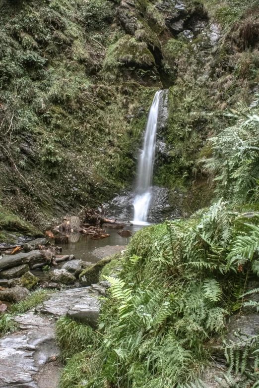 a small waterfall near the woods and rocks