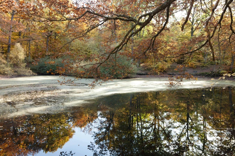 a beautiful river that has trees reflected in it