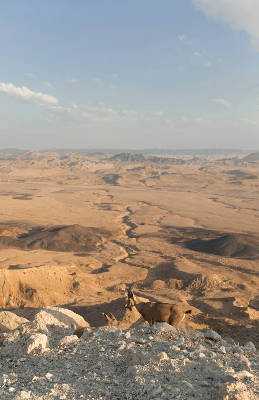 a rocky outcropping in the desert near a hill