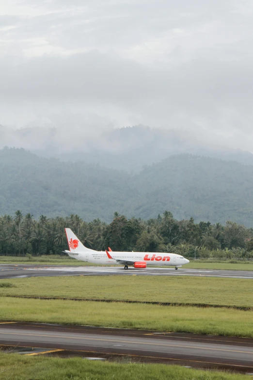 a large air plane on a run way